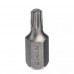 Бита 10 мм Torx T25 30 мм  GARWIN PRO 631025-T25