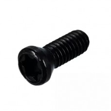 Винт М3,5*10 TORX T15 для державок SER/L, SIR/L, SNR/L, SWR/L