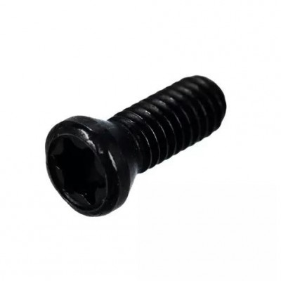 Винт М3,5*10 TORX T15 для державок SER/L, SIR/L, SNR/L, SWR/L