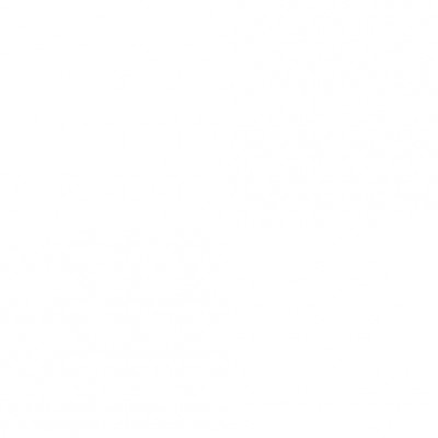 Борфреза овальная 19x25x69 мм, VHM, DC, форма E (серия 900605)