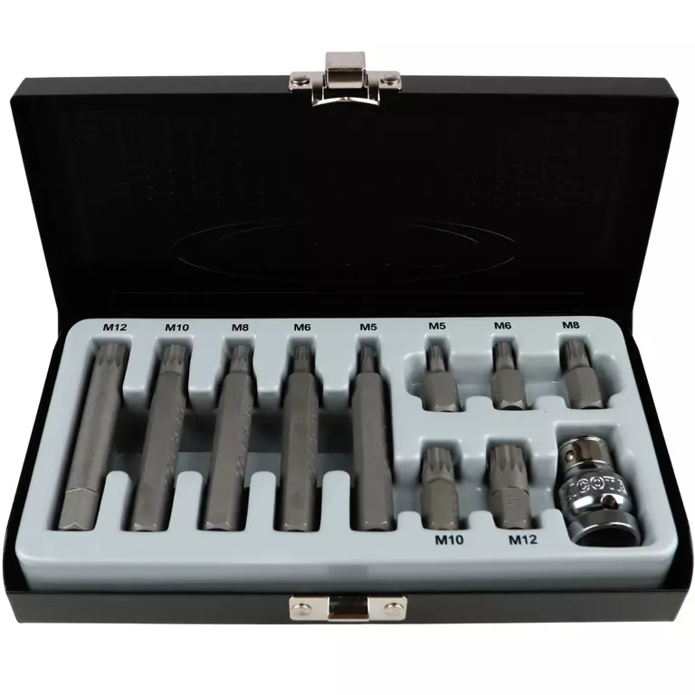 Licota ABS-80006 Набор бит Spline М5-М12 S2, 11 пр.